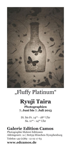 Edcamos Fluffy Platinum