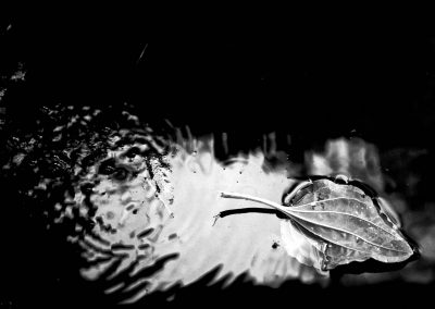 Die Mythen des Lethe